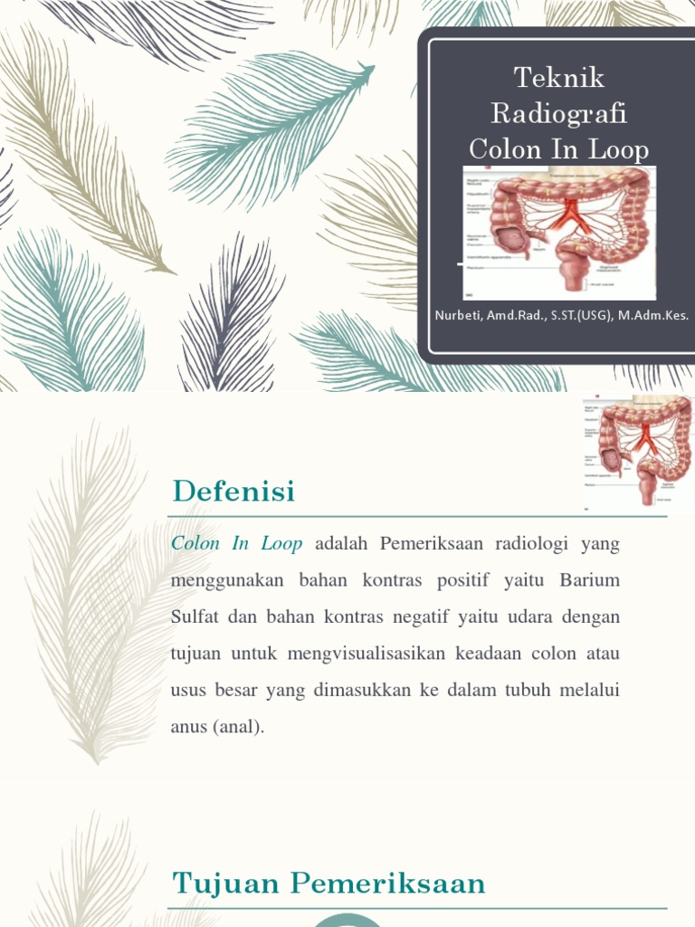 Teknik Radiografi Colon In Loop | PDF