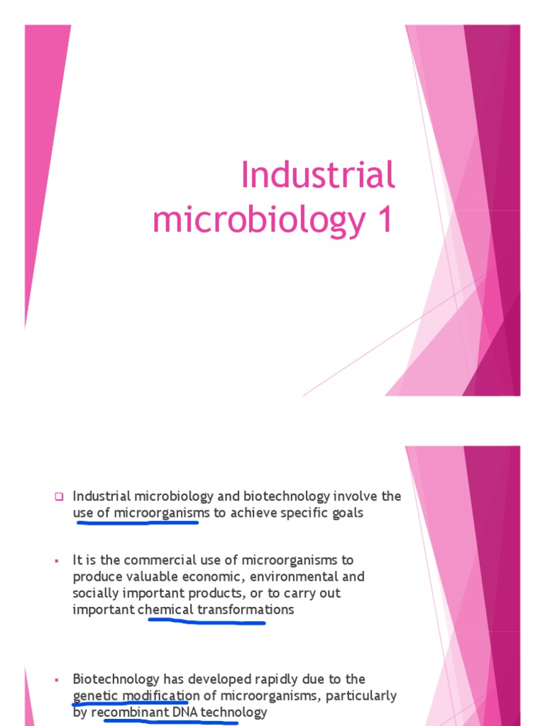 Industrial Microbiology PDF Fermentation