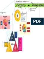 Mapa Mental Cerebro Emociones Aprendizaje
