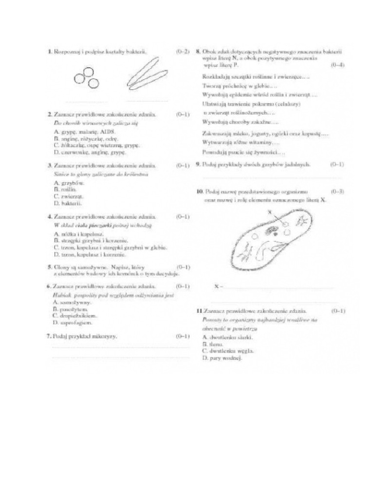 Wirusy Bakterie Protisty I Grzyby Klasa 5 Wirusy I Bakterie KL 5 | PDF