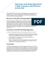 Endoplasmic Reticulum and Golgi Apparatus - Organelles That Help Transport and Process Molecules Within The Cell