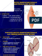 Fiziologia Mușchului Neted 2022-58942