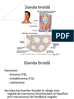 Fiziologia Sistemului Endocrin 2-60364