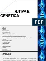 Saúde Reprodutiva e Genética