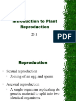 Chapter 23 Plant Reproduction