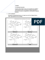 Activități de Cunoașterea Mediului