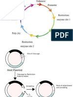 Biotech