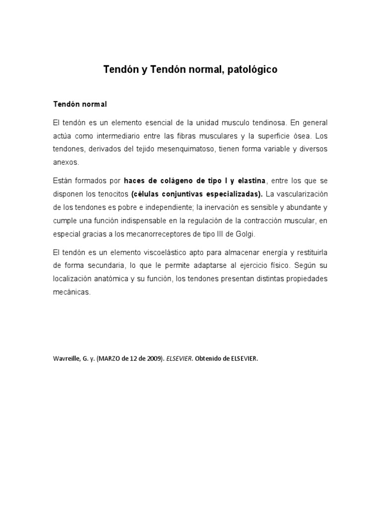 Tendón Normal y Patológico: Análisis | PDF