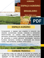 Espaço agrário brasileiro: atividades, evolução e desafios