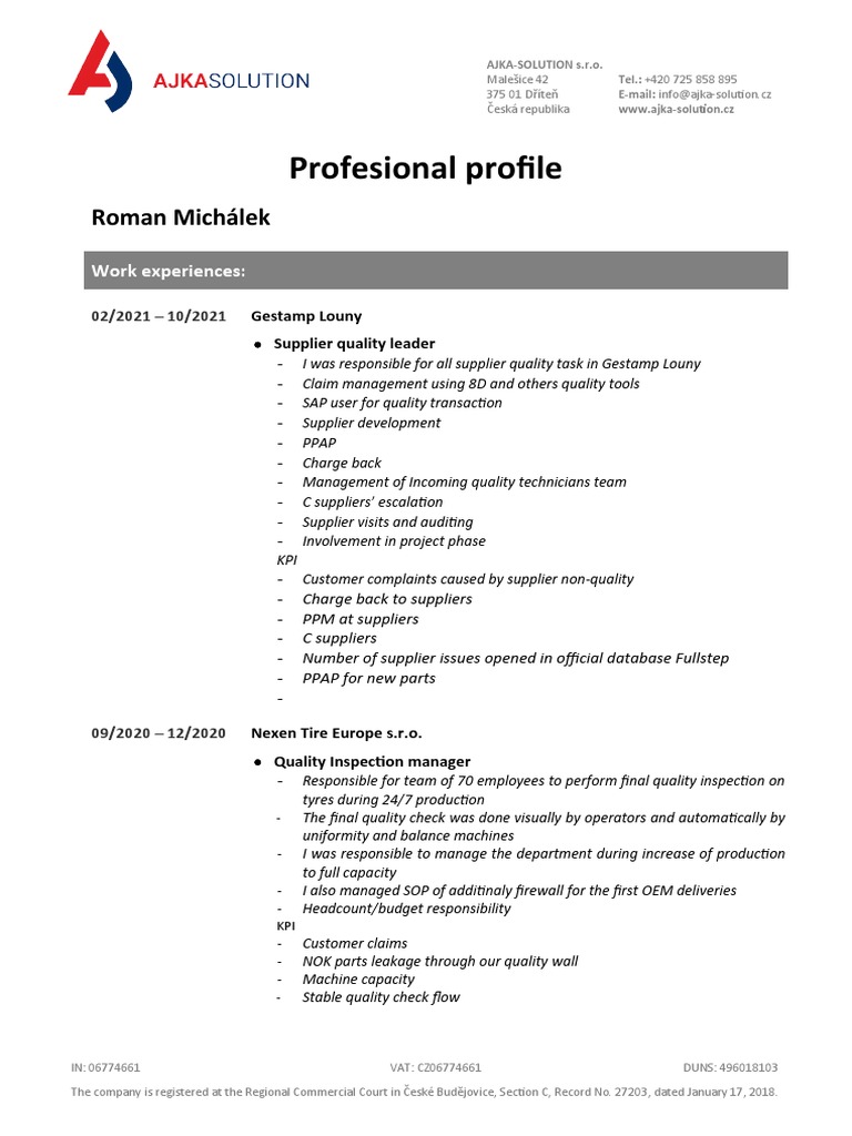 Professional profile template PDF Audit Business