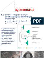 Helmintos T 26 Paragonimiasis