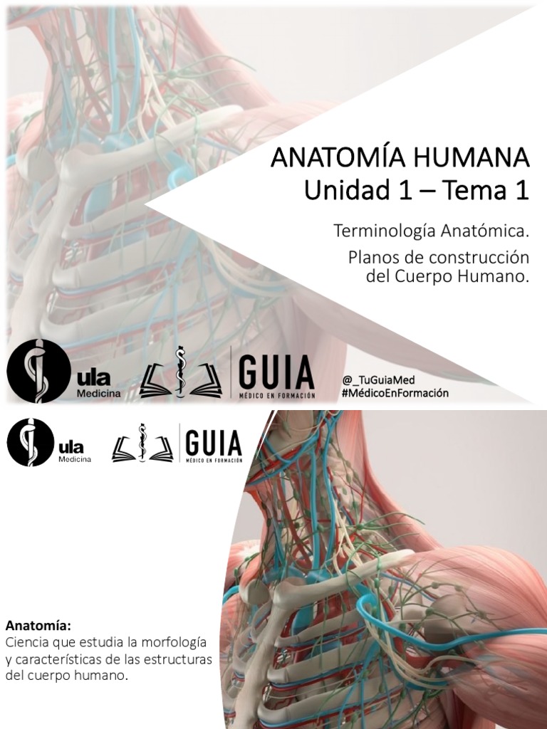ANATOMIA - Unidad 1 - Tema 1 | PDF | Hueso | Términos anatómicos de ...