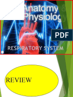 Respiratory System