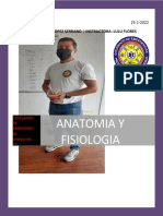 Manual Anatomia