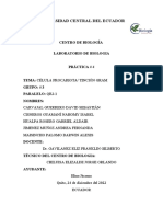 Formato de Informe Célula Procariota Bilogía QR2