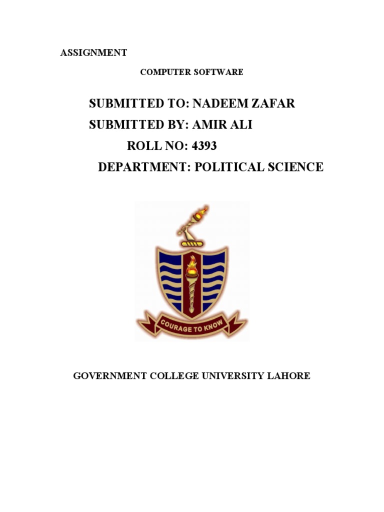 Computer Software Assignment | PDF | Software | Operating System