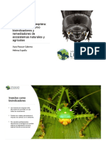 Día 2. Escarabajos (Coleoptera - Scarabaeidae) Como Bioindicadores y Remediadores de Ecosistemas Naturales y Agrícolas