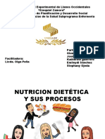 Nutrición y sus procesos: conceptos y nutrientes esenciales