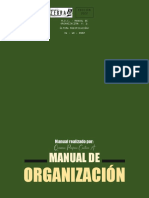 Manual de Organización - PORFIRIO CENTENO