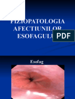 Fiziopatologia Esofagului, Stomacului,  Intestinului subtire si gros