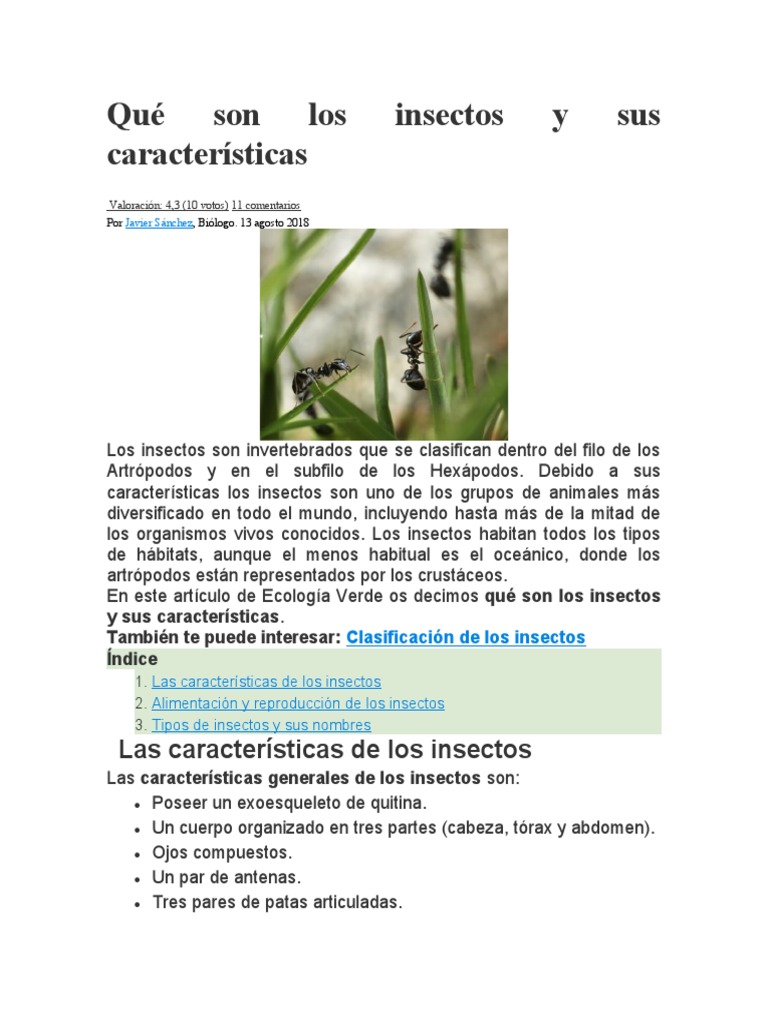 Informacion de Insectos | PDF | Insectos | Digestión