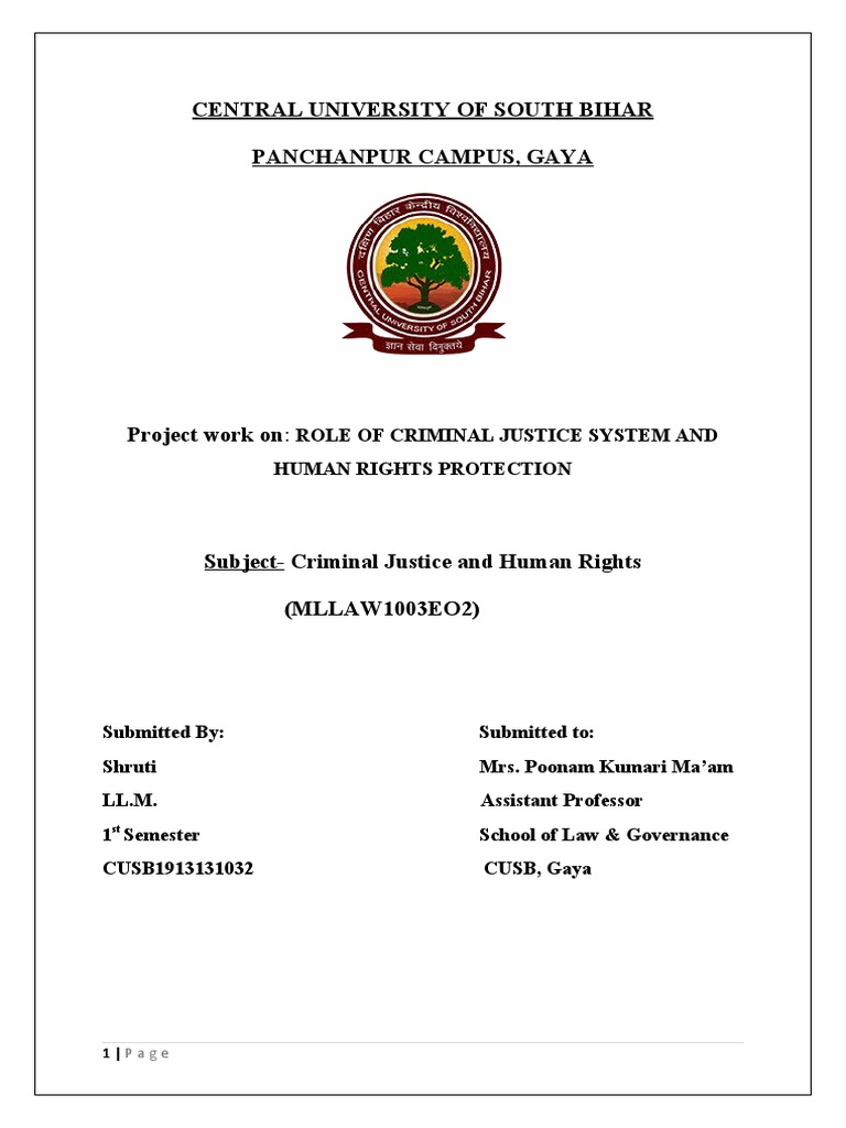 Criminal Justice and Human Rights Role | PDF | Ex Post Facto Law | Due ...