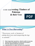 Timbers of Pakistan and Their Uses
