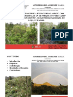 Día 4. Ensayo de Restauración de Matorral Andino Con Tres Especies Forestales en El PUFVC