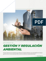Gestion y Regulacion Ambiental Temario