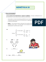 Segunda Ley de Mendel