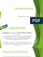 Proceso de Maduración.