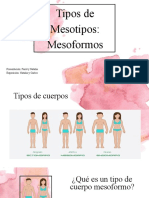 Tipos de Mesotipos Mesoformos