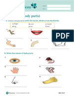 PPP GSE10 21 Body Parets v9