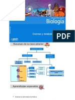 5 Clase Enzimas y Metabolismo