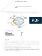 Taller de Mitosis y Meiosis