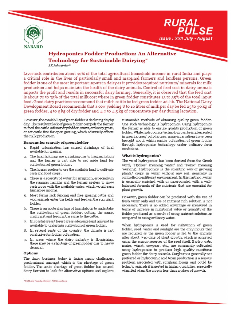 Hydroponics for Sustainable Dairy Fodder | PDF | Hydroponics | Animal Feed