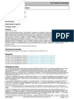 Export PDF