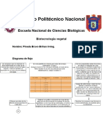 Diagrama de Flujo Biotecnología Vegetal