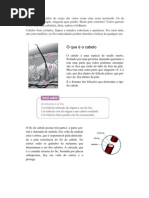 Apostila de Cabeleireiro