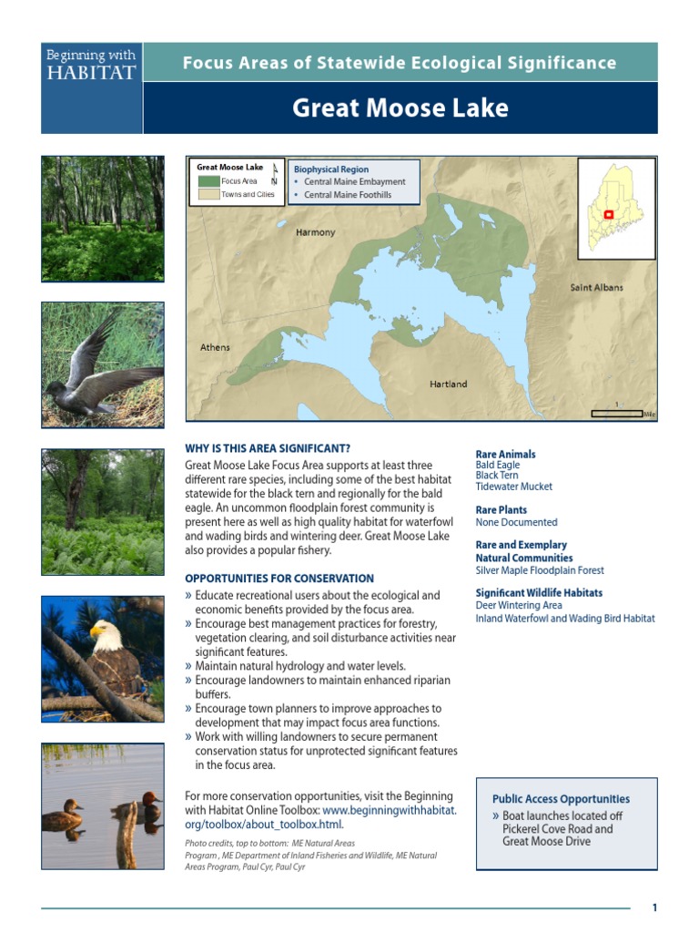 Great Moose Lake Ecological Significance | PDF | Wetland | Bald Eagle