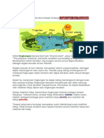 Interaksi Makhluk Hidup Dan Lingkungan