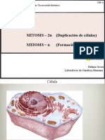 CBU 3 Cromo - Mitosis.meiosis - Feb.14.19