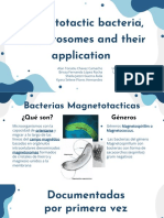 Bacterias magnetotacticas, magnetosomas y sus aplicaciones