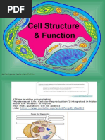 Week1 - The Cell and Its Structures and Functions | PDF | Cell (Biology ...