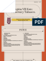 Región VII Este: Veracruz y Tabasco