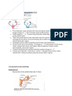 Anatomi Organ Yang Terlibat