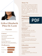 Curriculum Vitae Erika Ingles