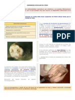 Enfermedad Vesicular Del Cerdo