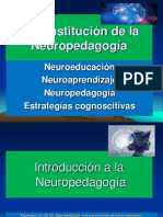 4) Constitución de La Neuropedagogía