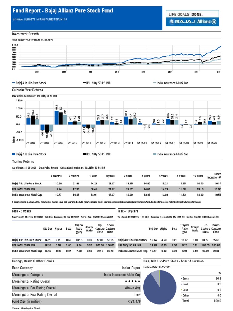Fund Report - Pure Stock Fund - Aug 2021 | PDF